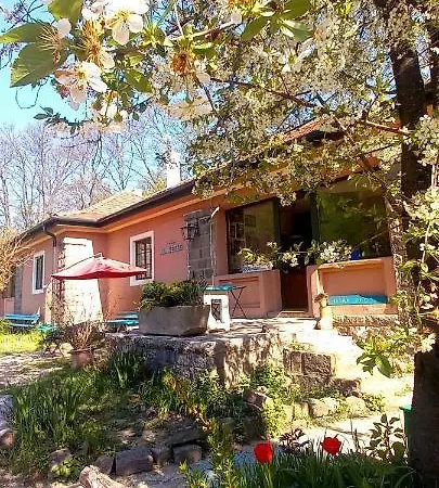 Apartment Doemoerkapu Rengeteg Vendeghaz *